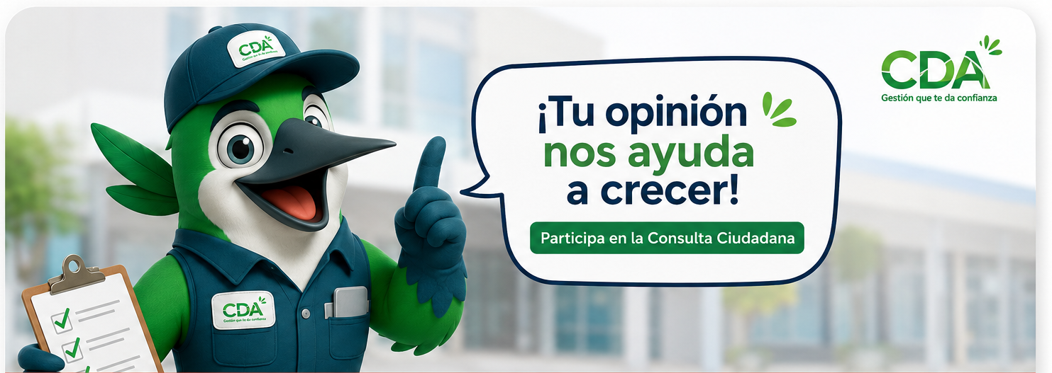 Consulta Ciudadana